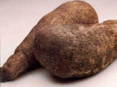 Water Yam
