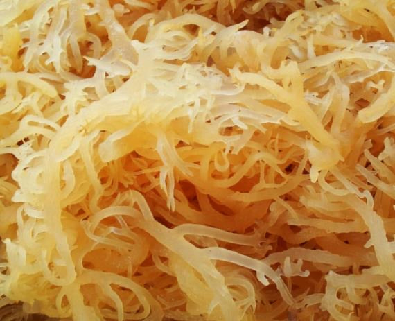 Irish Sea Moss (2 lbs)